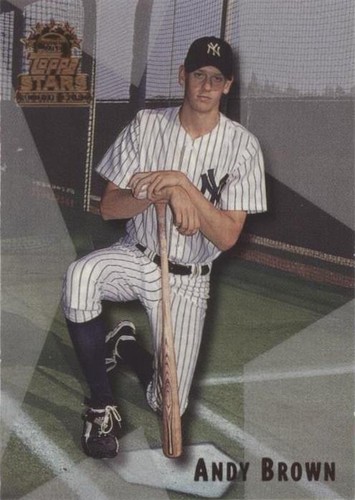 1999 Topps Stars - Andy Brown #79