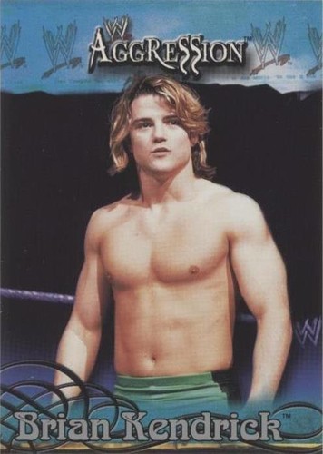 2003 Fleer WWE Aggression - Brian Kendrick #78