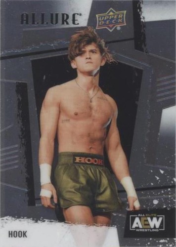 2022 Upper Deck Allure AEW - Hook #23