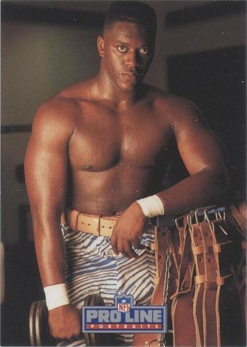 1992 Pro Line Portraits Robert Porcher #412