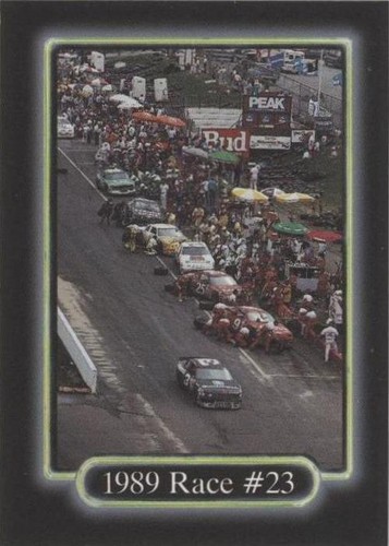 1990 Maxx Collection - Dale Earnhardt #191