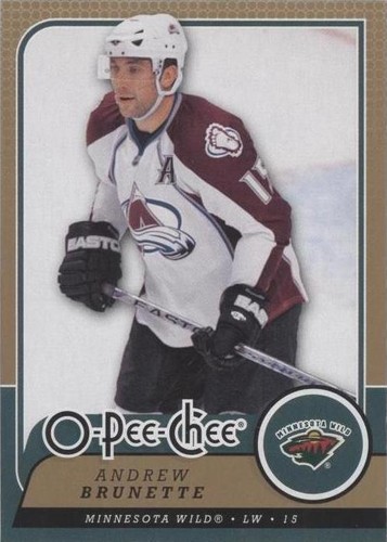 2008-09 O-Pee-Chee - Andrew Brunette #466