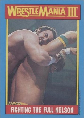 1987 O-Pee-Chee WWF - Billy Jack Haynes Hercules #51