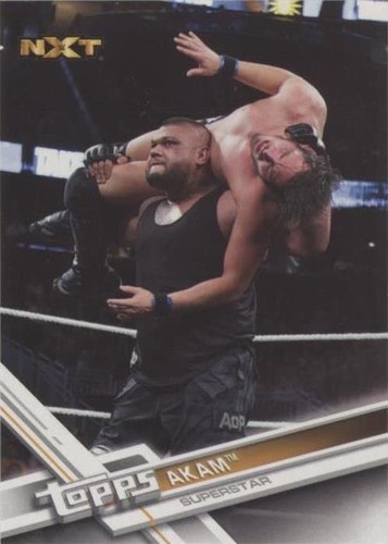 2017 Topps WWE Then Now Forever - Akam #164