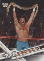 2017 Topps WWE Then Now Forever - Jake "The Snake" Roberts #188