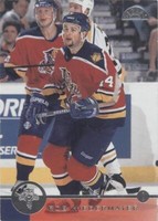 1996-97 Leaf - Rob Niedermayer #22