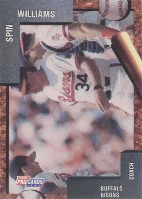 1992 Fleer ProCards Minor League - Spin Williams #340