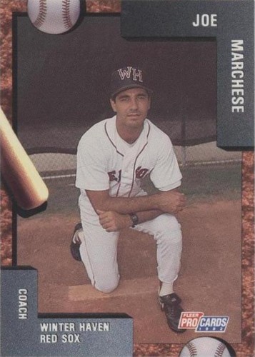 1992 Fleer ProCards Minor League - Joe Marchese #1795