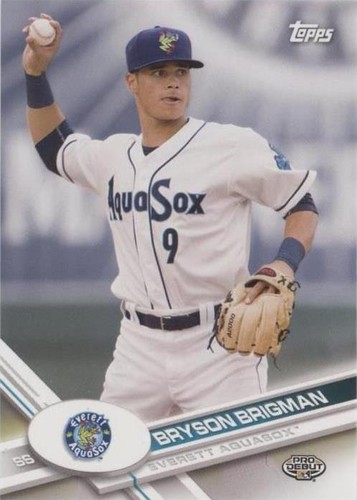 2017 Topps Pro Debut - Bryson Brigman #194