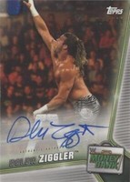2019 Topps WWE Money in the Bank - Dolph Ziggler #A-DZ