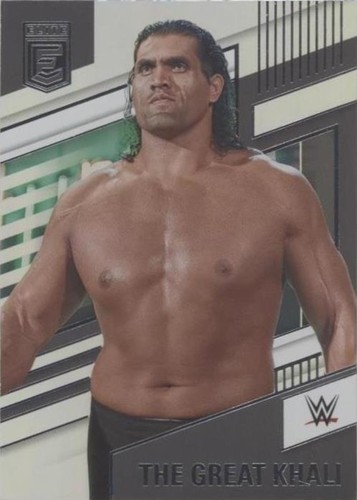 2022 Panini Chronicles WWE - The Great Khali #255