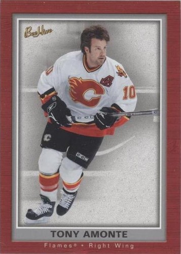 2005-06 Upper Deck Bee Hive - Tony Amonte #16