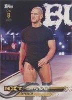 2018 Topps WWE Then Now Forever - Danny Burch #119
