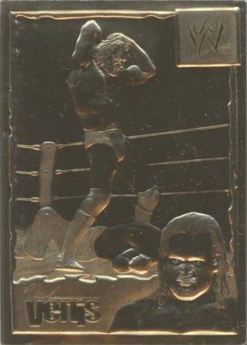 1999-2005 Danbury Mint 22k Gold WWF/E - Val Venis #8