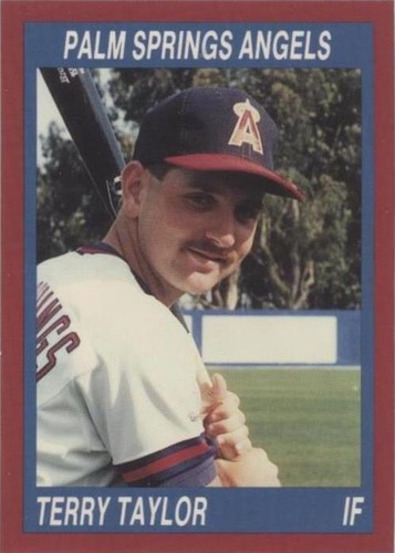 1990 Cal League California League - Terry Taylor #208