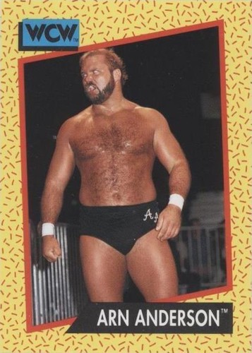 1991 Impel WCW - Arn Anderson #50