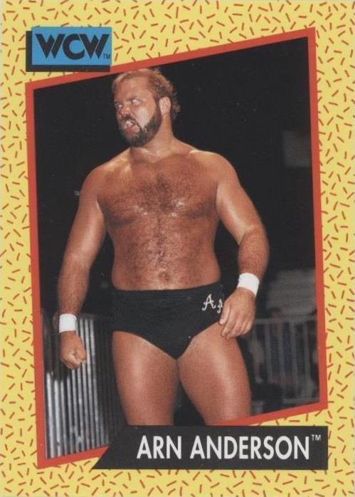 1991 Impel WCW - Arn Anderson #50