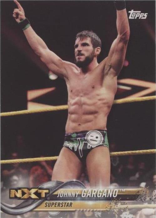 2018 Topps WWE - Johnny Gargano #44