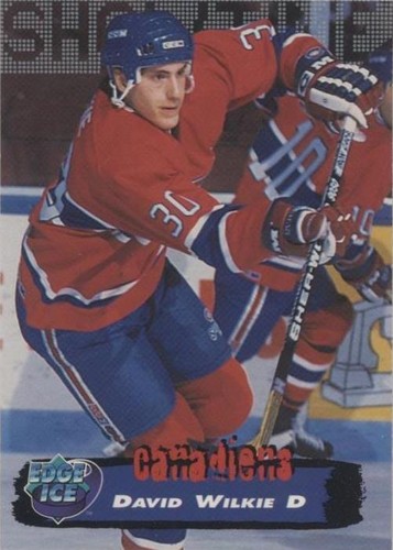 1995-96 Collector's Edge Ice - David Wilkie #43