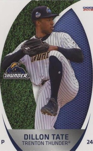 2018 Choice Trenton Thunder - Dillon Tate #27