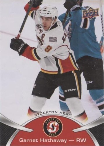 2015-16 Upper Deck AHL - Garnet Hathaway #48