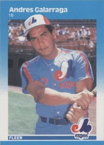 1987 Fleer - Andres Galarraga #319