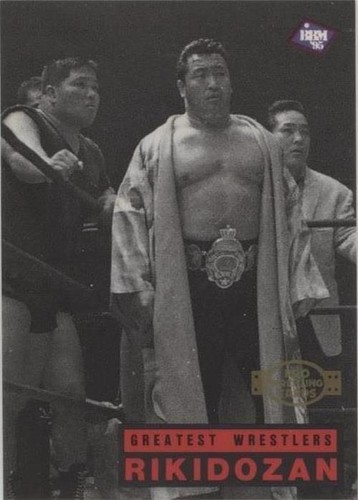 1995 BBM Pro Wrestling - Rikidozan #208