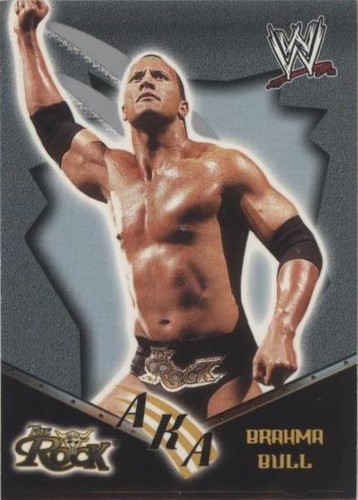 Wwe Royal Rumble Complete Anthology 1988-2007 | eBay