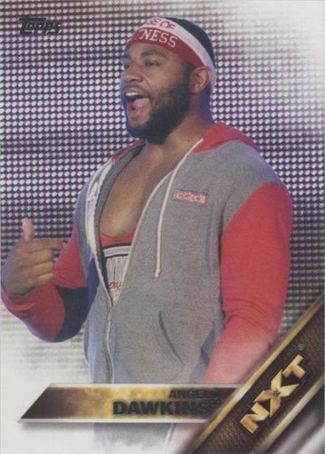 2016 Topps WWE - Angelo Dawkins #3