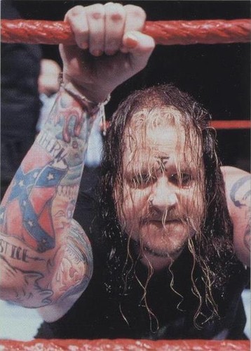 1999 Comic Images WWF SmackDown! - Mideon #24