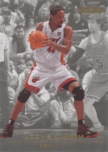 2008-09 Skybox - Udonis Haslem #81