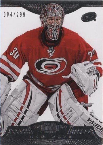 2013-14 Panini Dominion - Cam Ward #17