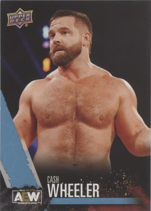 2021 Upper Deck AEW All Elite Wrestling - Dash Wilder #31