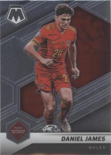 その他 PANINI WORLD CUP MOSAIC 2022 Panini Mosaic Road To World Cup MOSAIC PRIZM RC Daniel Munoz