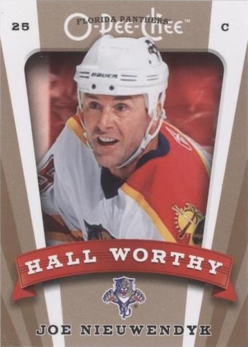 2006-07 O-Pee-Chee - Joe Nieuwendyk #653
