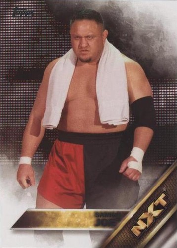 2016 Topps WWE - Samoa Joe #25