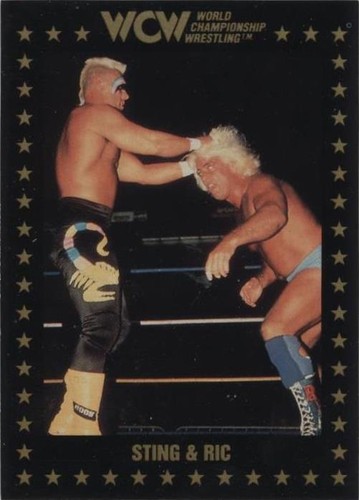 1991 Championship Marketing WCW - Sting #20