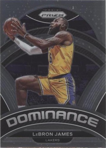 2023-24 Panini Select Lebron James ELEPHANT PRIZM SSP CASE HIT
