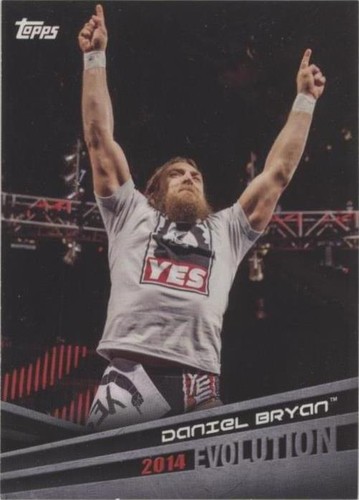 2018 Topps WWE - Daniel Bryan #E-13