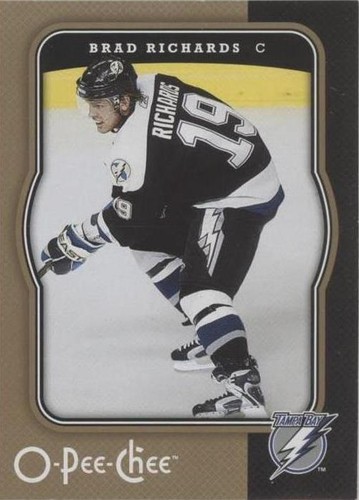 2007-08 O-Pee-Chee - Brad Richards #449