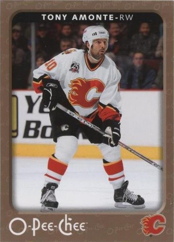 2006-07 O-Pee-Chee - Tony Amonte #80
