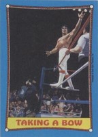 1987 Topps WWF - Ricky "The Dragon" Steamboat #65