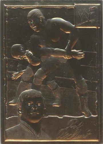 1999-2005 Danbury Mint 22k Gold WWF/E - Bob Backlund #3