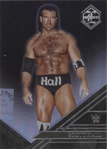 本バドさん専用 2023 Panini Chronicles WWE Limited Scott Hall #235 | eBay