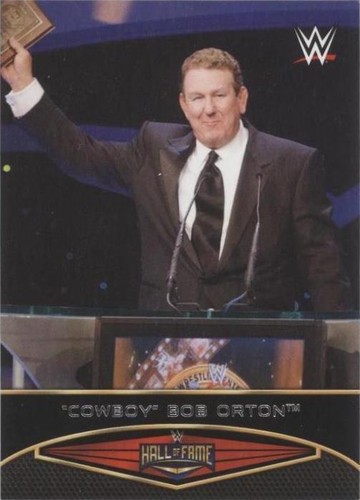 2015 Topps WWE Road to Wrestlemania - Bob Orton #14
