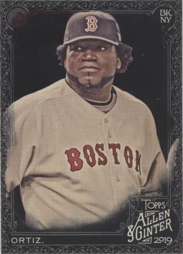 2019 Topps Allen & Ginter's X - David Ortiz #132