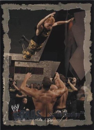 2004 Fleer WWE Chaos - Spike Dudley #25