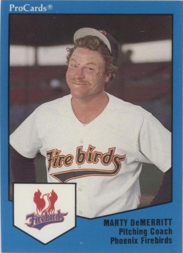 1989 ProCards Minor League Team Sets - Marty Demerritt #1486