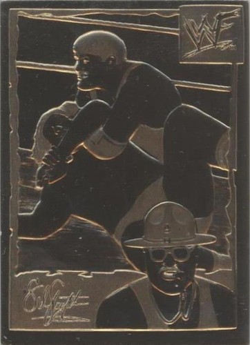 1999-2005 Danbury Mint 22k Gold WWF/E - Sgt. Slaughter #24