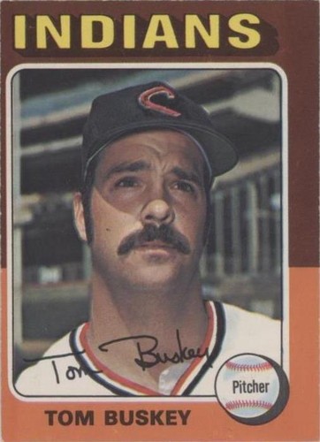 1975 O-Pee-Chee - Tom Buskey #403
